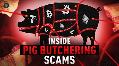 ‘Pig butchering’ crypto scam: Americans taking their lives after .